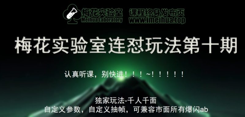 红梅花试验室社群营销特享课视频号连怼游戏玩法第十期课程内容 第二部分-FF小助手全新升级高自由度全能爆闪AB解决|云雀资源分享