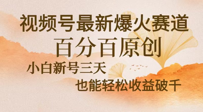 视频号最新爆火赛道，中老年粉深信不疑，百分百原创，新号三天收益轻松…|云雀资源分享