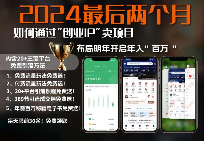 2024最后两个月怎样通过”自主创业IP“卖项目年收入”上百万“,自主创业IP 最牛引流方法…|云雀资源分享