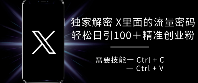 独家代理破译 X 里边的总流量登陆密码，拷贝轻轻松松日引100|云雀资源分享