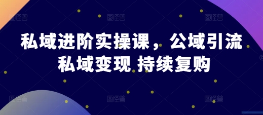 公域升阶实操课，公域流量引流方法 私域变现 不断回购|云雀资源分享