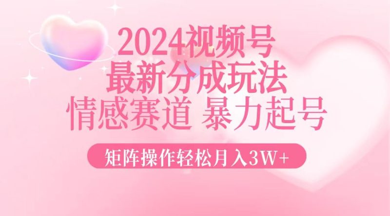 2024新视频号分为游戏玩法，情绪跑道，暴力行为养号，引流矩阵实际操作轻轻松松月入3W|云雀资源分享