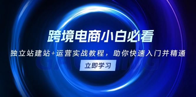 跨境电商小白必看！独立站建站+运营实战教程，助你快速入门并精通|云雀资源分享