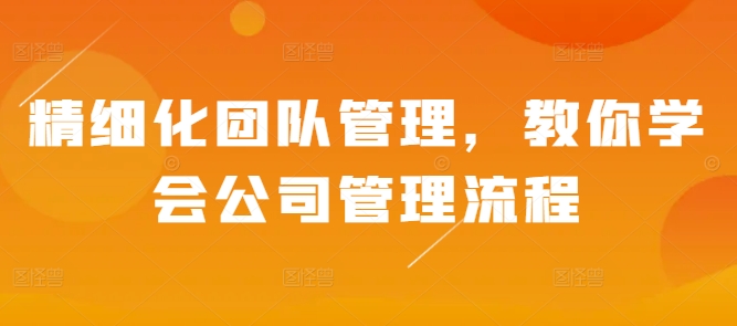 精细化团队管理，教你学会公司管理流程|云雀资源分享