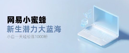 网易小蜜蜂，最新大蓝海项目，单日轻松日涨千粉|云雀资源分享