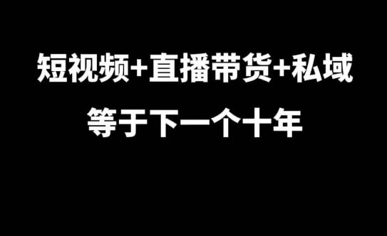 短视频+直播带货+私域等于下一个十年，大佬7年实战经验总结|云雀资源分享