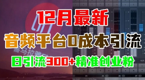 12月最新：音频平台0成本引流，日引流300+精准创业粉|云雀资源分享