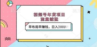 视频号年货项目，流量贼猛，早布局早挣钱，日入上k【揭秘】|云雀资源分享