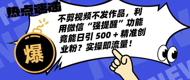 不剪视频不发作品，视频号私信日引 500 + 精准创业粉?实操即流量!|云雀资源分享