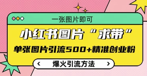 小红书图片‘求带’爆火引流法，单张图片引流500+精准创业粉【揭秘】|云雀资源分享