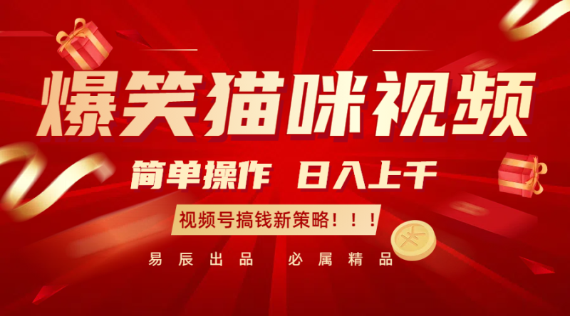 爆笑猫咪视频:简单操作,日入过千,视频号搞钱新策略!|云雀资源分享