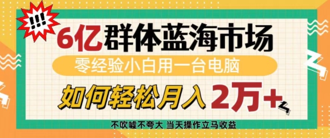 6亿群体蓝海市场，零经验小白用一台电脑，如何轻松月入过w【揭秘】|云雀资源分享
