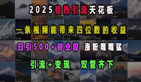 2025自热引流天花板，一条视频能带来四位数的收益，引流+变现双管齐下，日引500+创业粉，涨粉嘎嘎猛|云雀资源分享