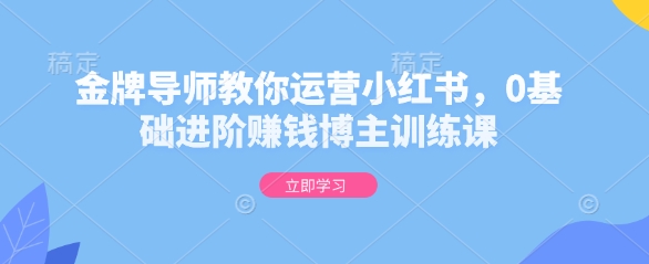 金牌导师教你运营小红书，0基础进阶赚钱博主训练课|云雀资源分享