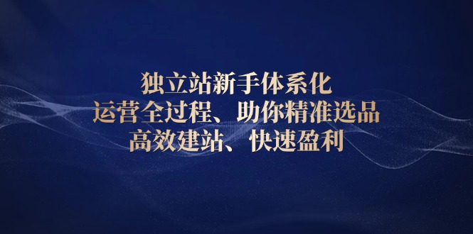 独立站新手体系化 运营全过程，助你精准选品、高效建站、快速盈利|云雀资源分享