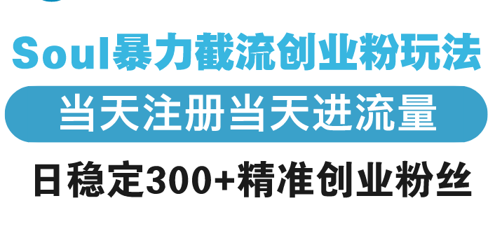 Soul暴力截流创业粉玩法，当天注册当天进流量，日稳定300+精准创业粉丝|云雀资源分享