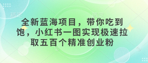 全新蓝海项目，带你吃到饱，小红书一图实现极速拉取五百个精准创业粉|云雀资源分享