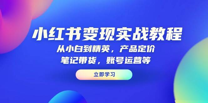 小红书变现实战教程：从小白到精英，产品定价，笔记带货，账号运营等|云雀资源分享