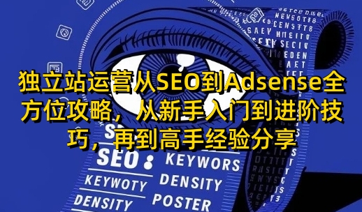 独立站运营从SEO到Adsense全方位攻略，从新手入门到进阶技巧，再到高手经验分享|云雀资源分享