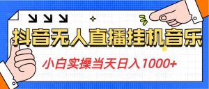 图片[1]-小白实操当天日入1000+，抖音24小时无人直播音乐，不违规，不封号纯撸音浪-中创网_分享创业资讯_网络项目资源