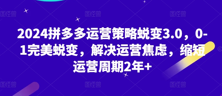 2024拼多多运营策略蜕变3.0，0-1完美蜕变，解决运营焦虑，缩短运营周期2年 