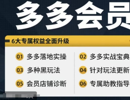 拼多多会员，拼多多实战宝典 实战落地实操，从新手到高阶内容全面覆盖