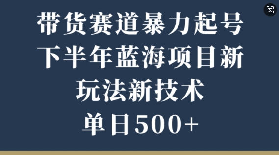 带货赛道暴力起号，下半年蓝海项目，新玩法新技术，单日500 