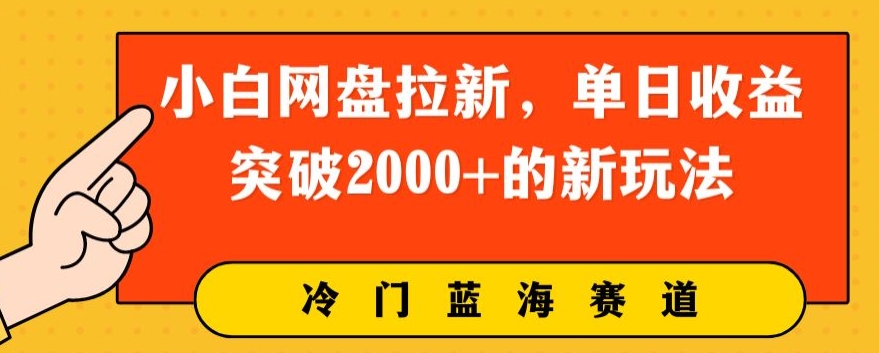 小白网盘拉新，单日收益突破2000 的新玩法