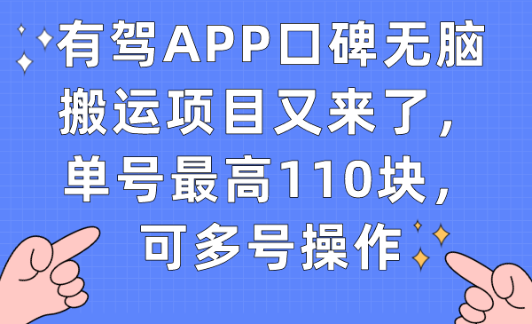 图片[1]-有驾APP用户评价没脑子运送新项目再次来了，运单号最大110块，可以多号实际操作