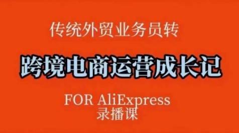 跨境电商速卖通运营课，运营方法论 后台实操，逻辑清晰