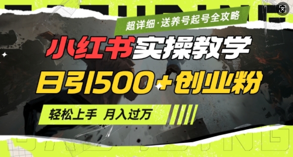2月小红书最新日引500+创业粉实操教学【超详细】小白轻松上手，月入1W+，附小红书养号起号SOP|云雀资源分享