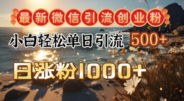 全新微信加粉自主创业粉，小白单日轻轻松松引流方法500 ，日增粉1000|云雀资源分享