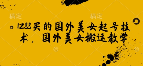 1288买来的国外美女养号技术性，国外美女运送课堂教学|云雀资源分享