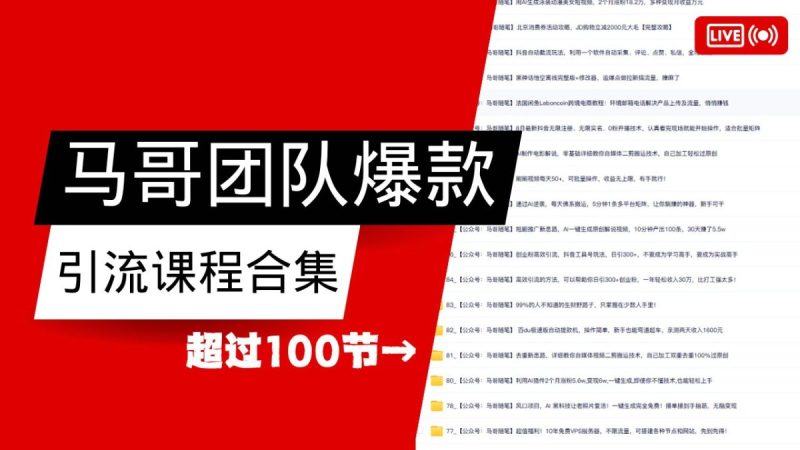 马哥团队【122节】最全项目爆款引流课程合集【持续更新】|云雀资源分享