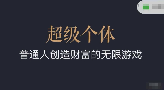 超级个体2024-2025逆风翻盘手册，平常人创造价值的无限恐怖游戏|云雀资源分享