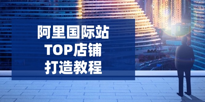 阿里巴巴国际TOP店面打造出实例教程：包含服务平台到高级，处理经营困难，提高外贸询盘|云雀资源分享