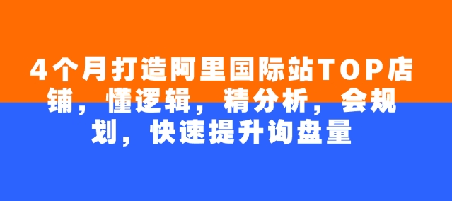 4个月打造出阿里巴巴国际TOP店面，懂逻辑性，精剖析，会整体规划，快速升级外贸询盘量|云雀资源分享