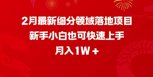 2月全新细分行业落地项目，新手入门也可以快速入门，月收入1W|云雀资源分享
