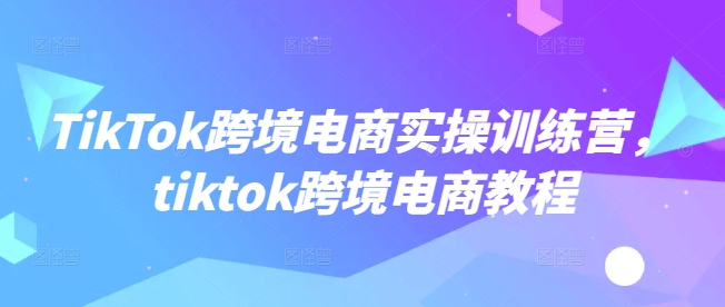 TikTok跨境电子商务实操训练营，tiktok跨境电子商务实例教程|云雀资源分享