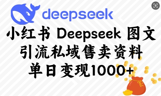 小红书的Deepseek图文并茂引流方法公域出售材料，单日转现好几张|云雀资源分享