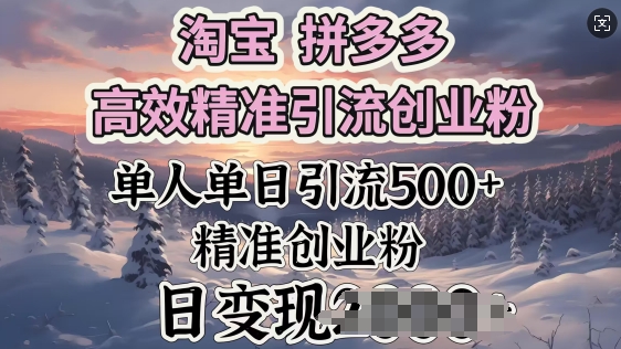 淘宝拼多多高效精准引流创业粉，单人单日引流500 创业粉，日变现多张
