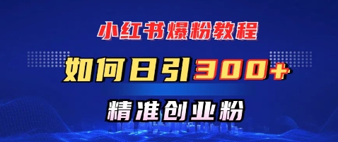 小红书爆粉教程，如何日引300 创业粉，快速实现精准变现