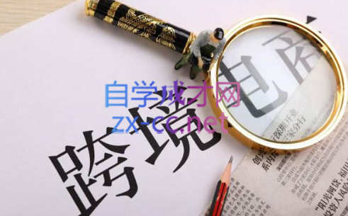 帮课大学VIP会员课程(更新2025年)|云雀资源分享
