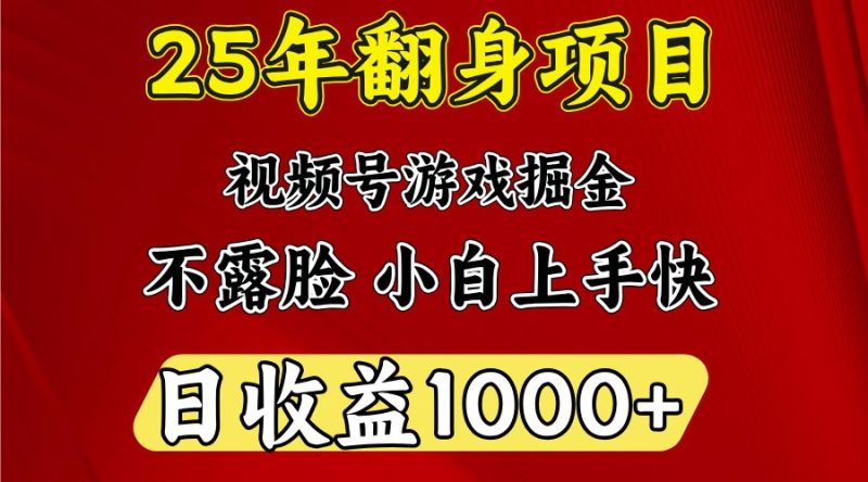 一天收益1000+ 25年开年落地好项目|云雀资源分享