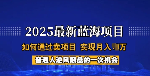 2025蓝海项目，普通人如何通过卖项目，实现月入过W，全过程【揭秘】|云雀资源分享