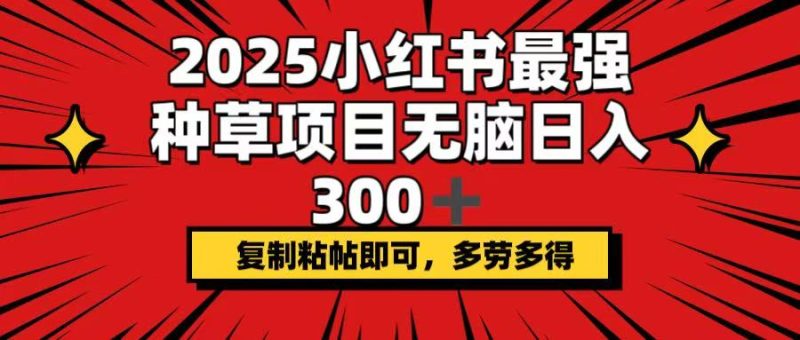 2025小红书最强种草项目,无脑日入300+,复制粘帖即可,多劳多得|云雀资源分享
