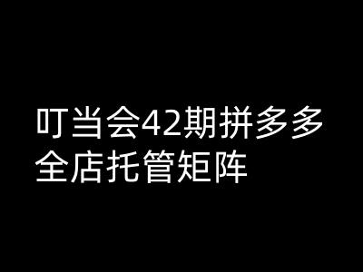 钉铛会拼多多平台打穿班原创设计高级技术性第42期，拼多多平台店铺代管引流矩阵|云雀资源分享
