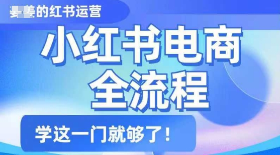 小红书电商全过程，精减通俗易懂，实用教程，学这一门就行了|云雀资源分享