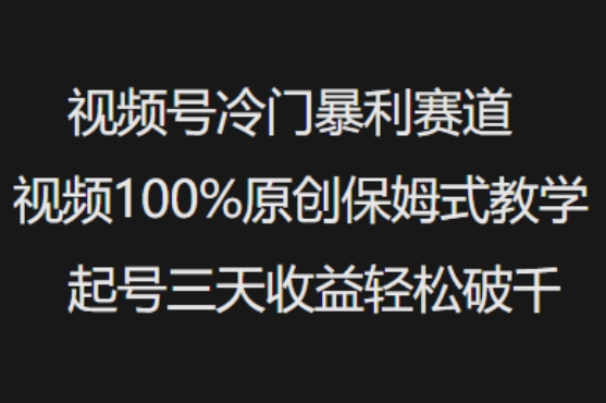 微信视频号小众爆利跑道短视频100%原创设计跟踪服务课堂教学养号三天盈利轻轻松松破千|云雀资源分享