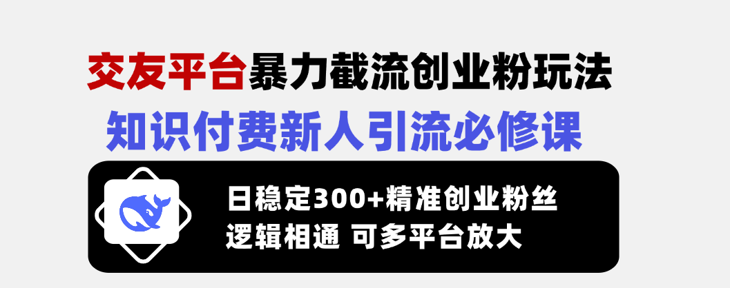 交友网站暴力行为截留自主创业粉游戏玩法，社交电商新手引流方法必修课程，日平稳300 精确…|云雀资源分享